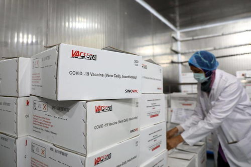 全球连线 年生产2亿剂 探访埃及本土化中国新冠疫苗工厂